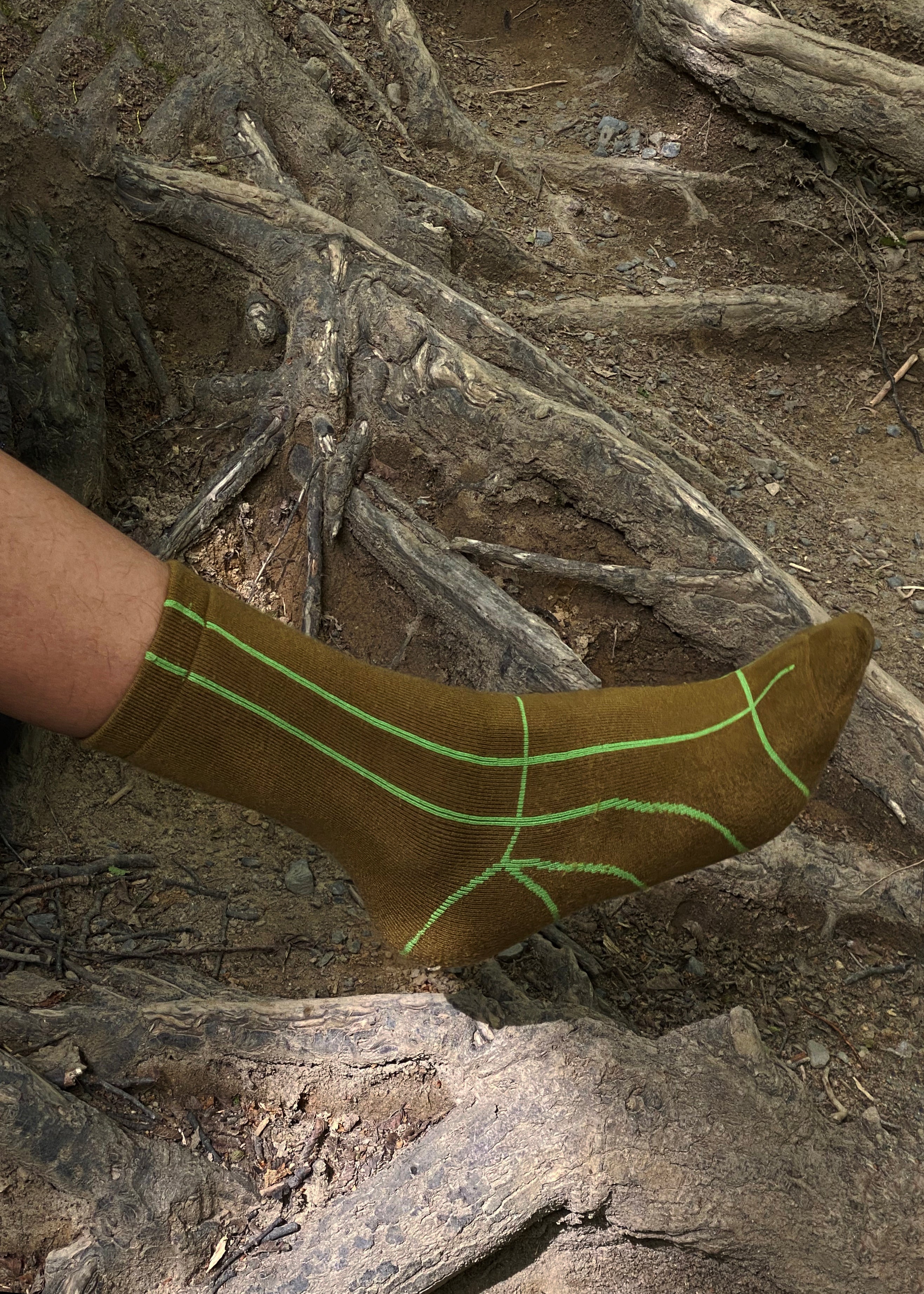 A close up of a person wearing the Line Max Wool Blend Socks in Color Dirt Gold and Algae